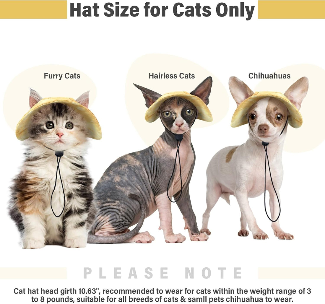 DENTRUN Cat Hats for Cats Only
