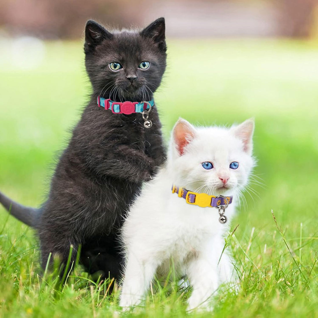 azuza 4 Pack Kitten Collar Breakaway with Bell,Quick Release Safe