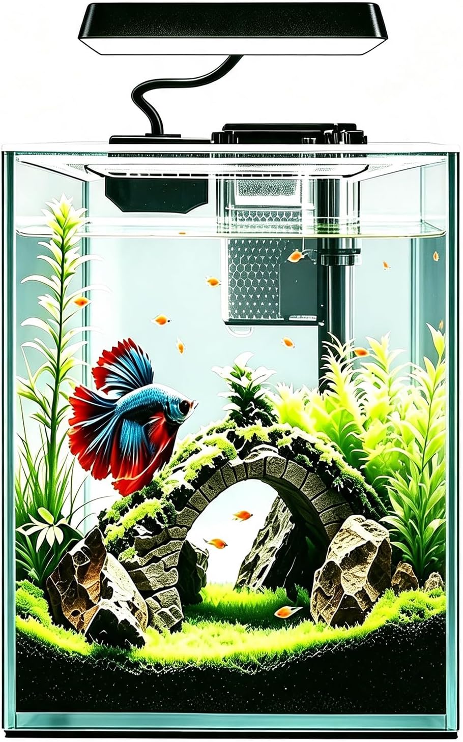 Glass Betta Aquarium Starter Kits 1.5 Gallon Small Fish Tank