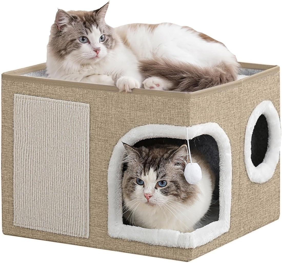 Cat Beds for Indoor Cats, Large Kitten Bed with Scratch Pad