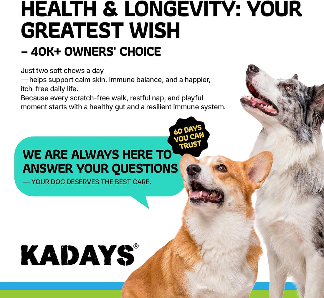 Dog Allergy Chews 180Ct - Sensitive Skin & Gut Health, Anti Itch