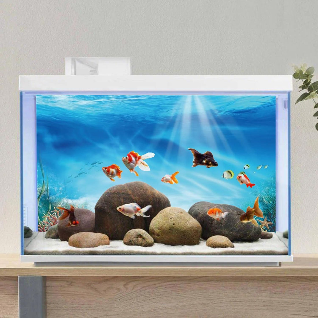 Undersea Aquarium Backdrop Underwater Coral Fish Tank Background
