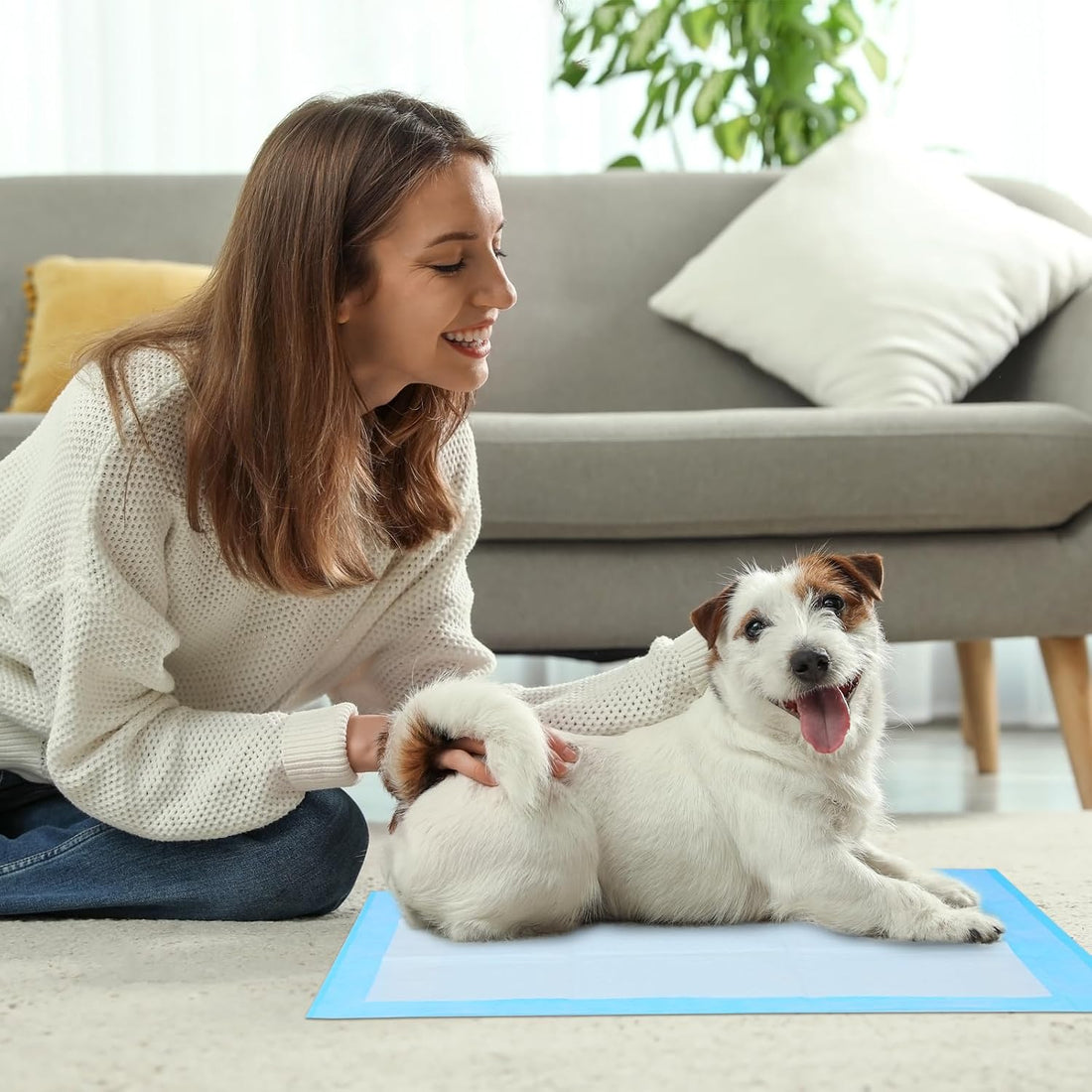 FluffyDream Super Absorbent Waterproof Dog and Puppy Pet Training Pad
