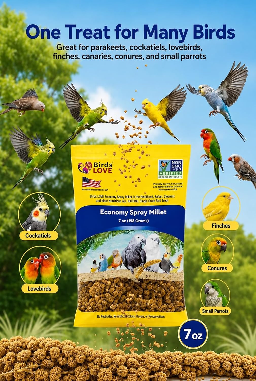 Birds LOVE Economy Spray Millet for Birds, 7 oz