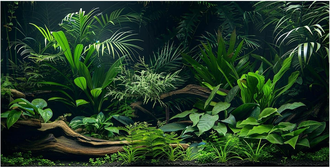 Aquarium Background, Aquatic Plant River Bed & Lake Tropical Undersea