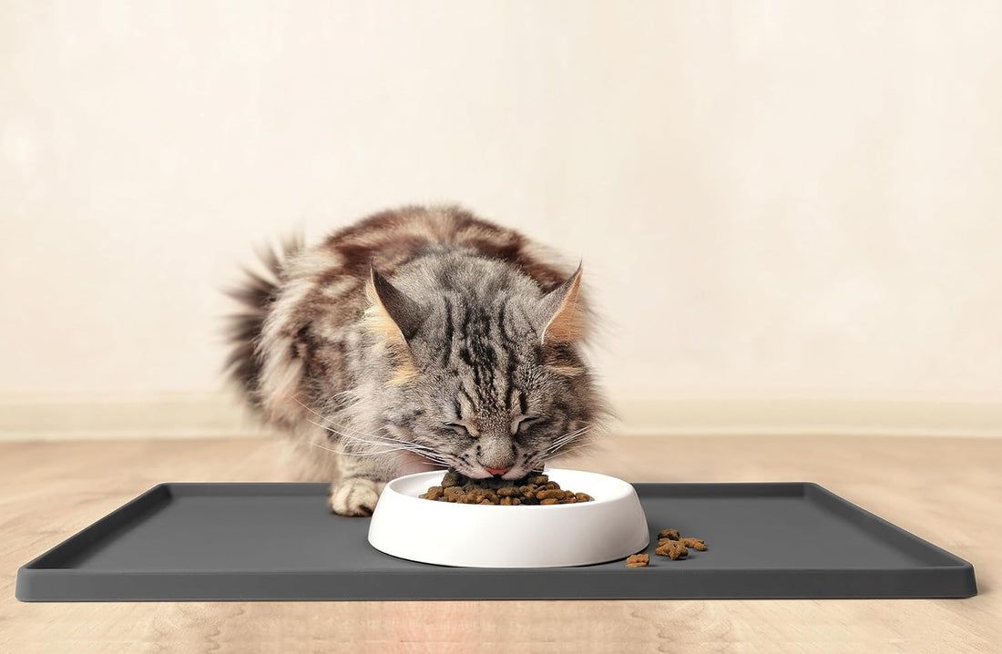 CatGuru Cat Bowls, Whisker Friendly Food Bowl for Indoor Cats