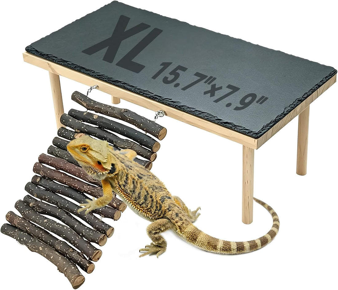 BNOSDM Bearded Dragon Basking Platform Climbing Rocks for Reptiles