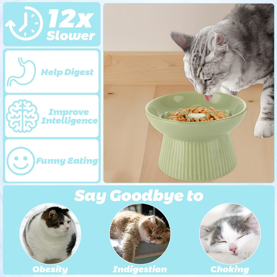 STARVAST 2 Pack Ceramic Slow Feeder Cat Bowl, Elevated