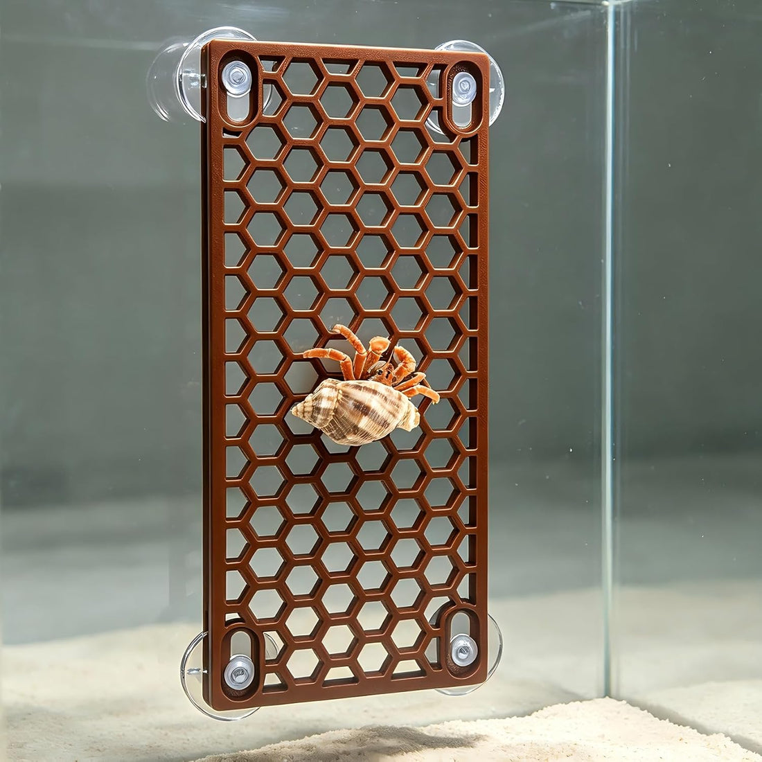 Hermit Crab Climbing Ladder Ramp Toy for Tank Habitat Decor