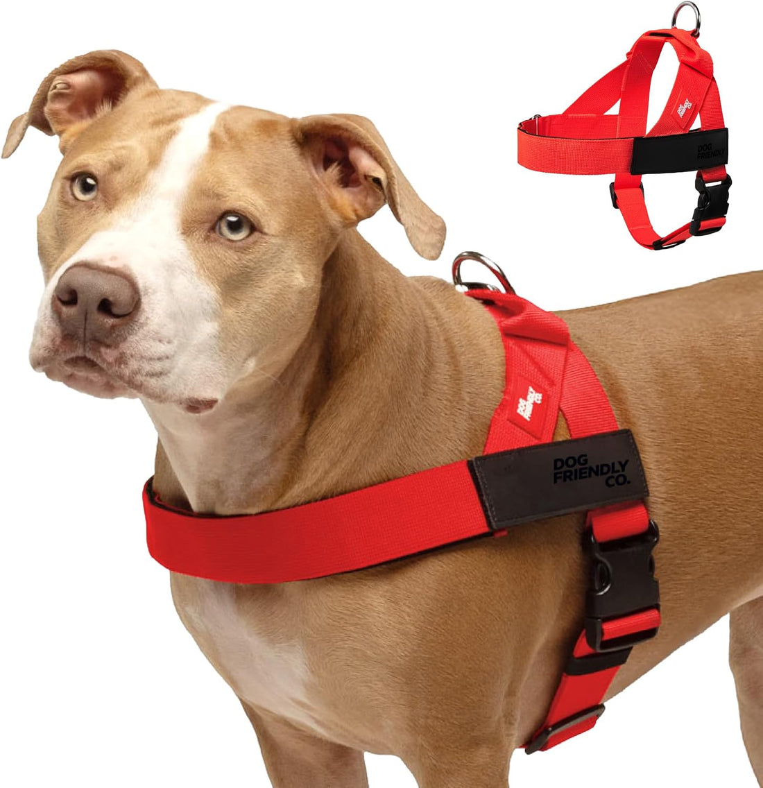 Dog Friendly Co. Dog Harness for Large Dogs