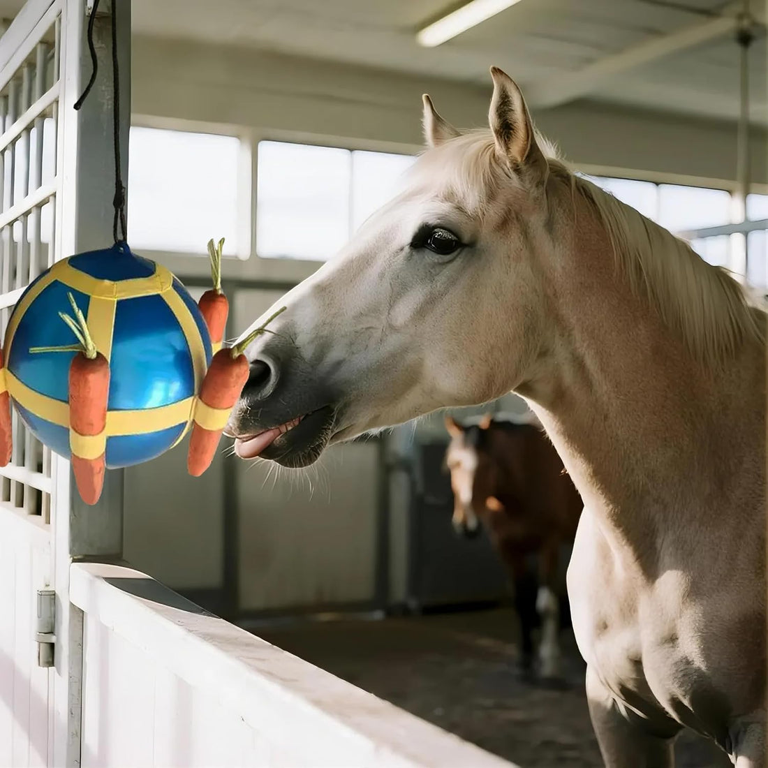 Horse Treat Ball & Horse Stall Toys