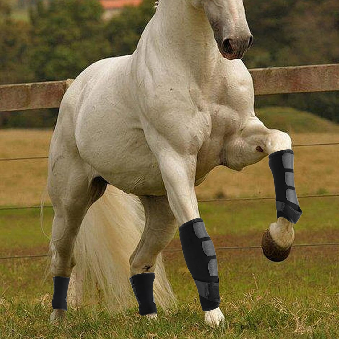 4 Pcs Horse Sport Boots - Neoprene Protective Breathable Comfy Mesh