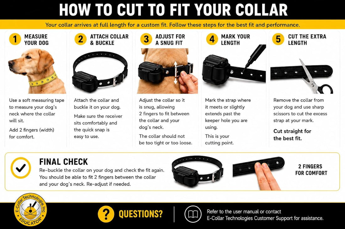 E-Collar Mini Educator ET-300 Remote Dog Training Collar