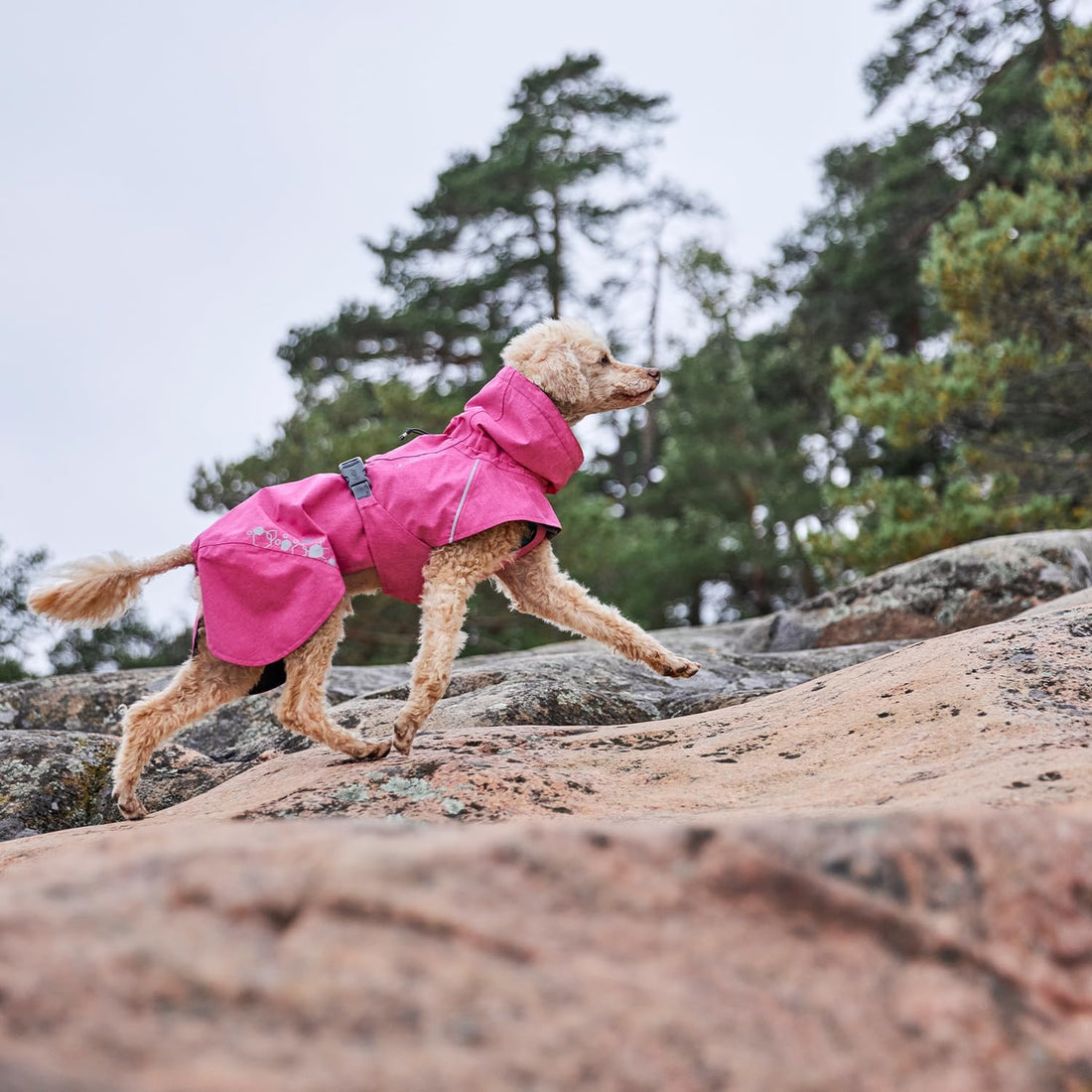 Hurtta Monsoon Coat II ECO, Wet Weather Dog Raincoat Coat
