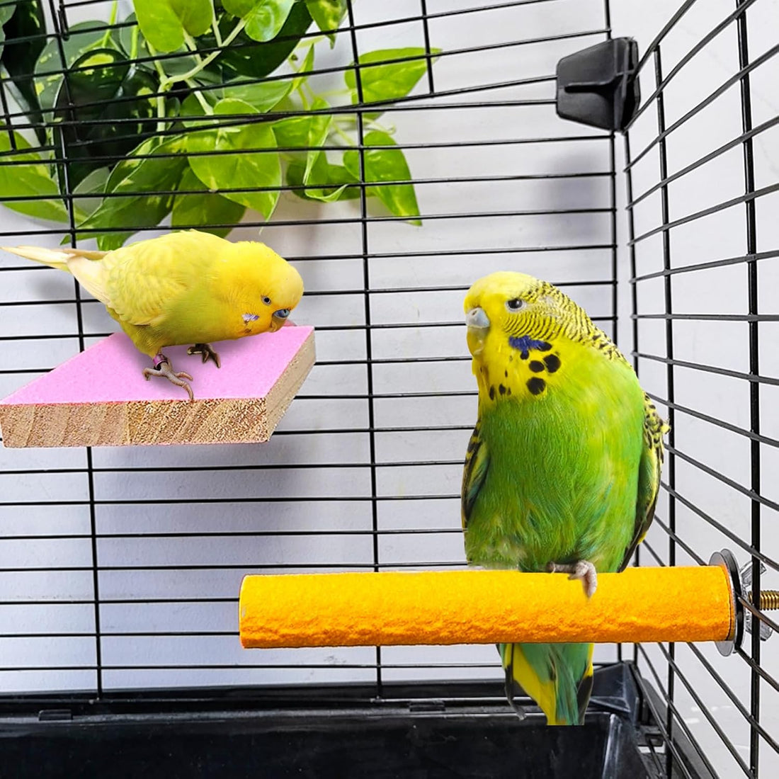 7PCS Bird Perch Stand Platform Natural Wood Parakeet Toys Cage