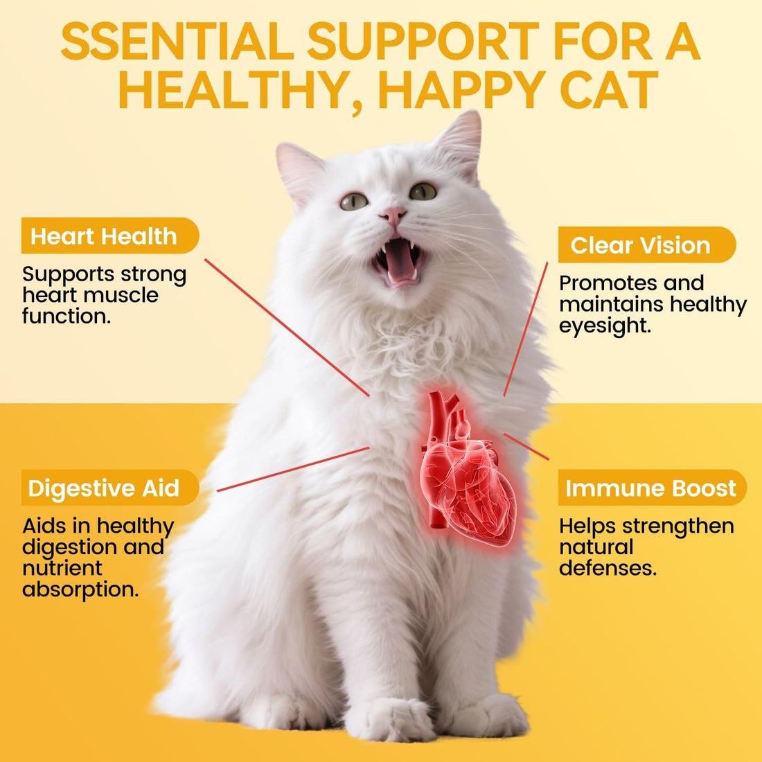 Pure Taurine for Cats Taurine Powder Supplement for Kitty Supports