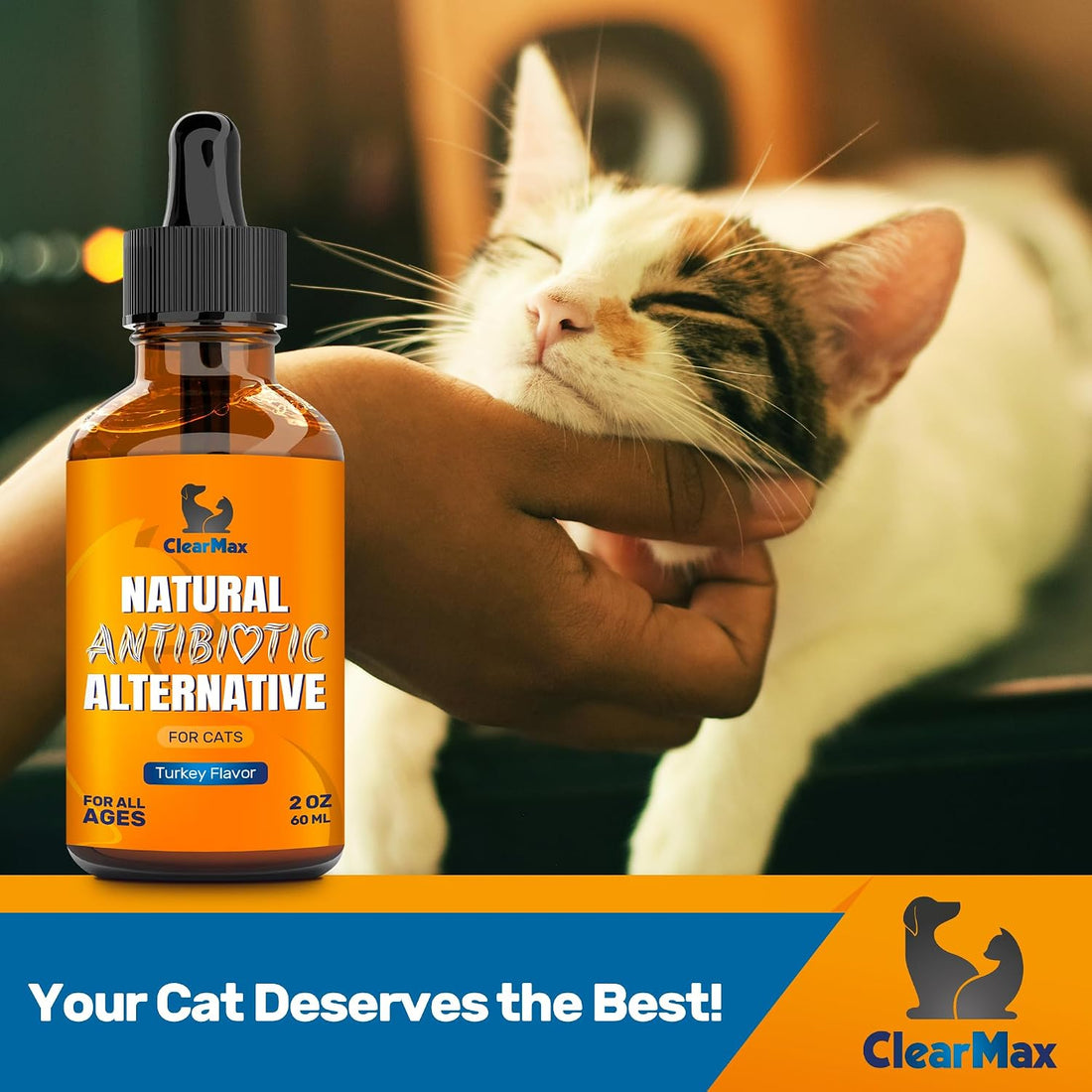 Antibiotics for Cats in Drops – Сat Respiratory Infection Treatment