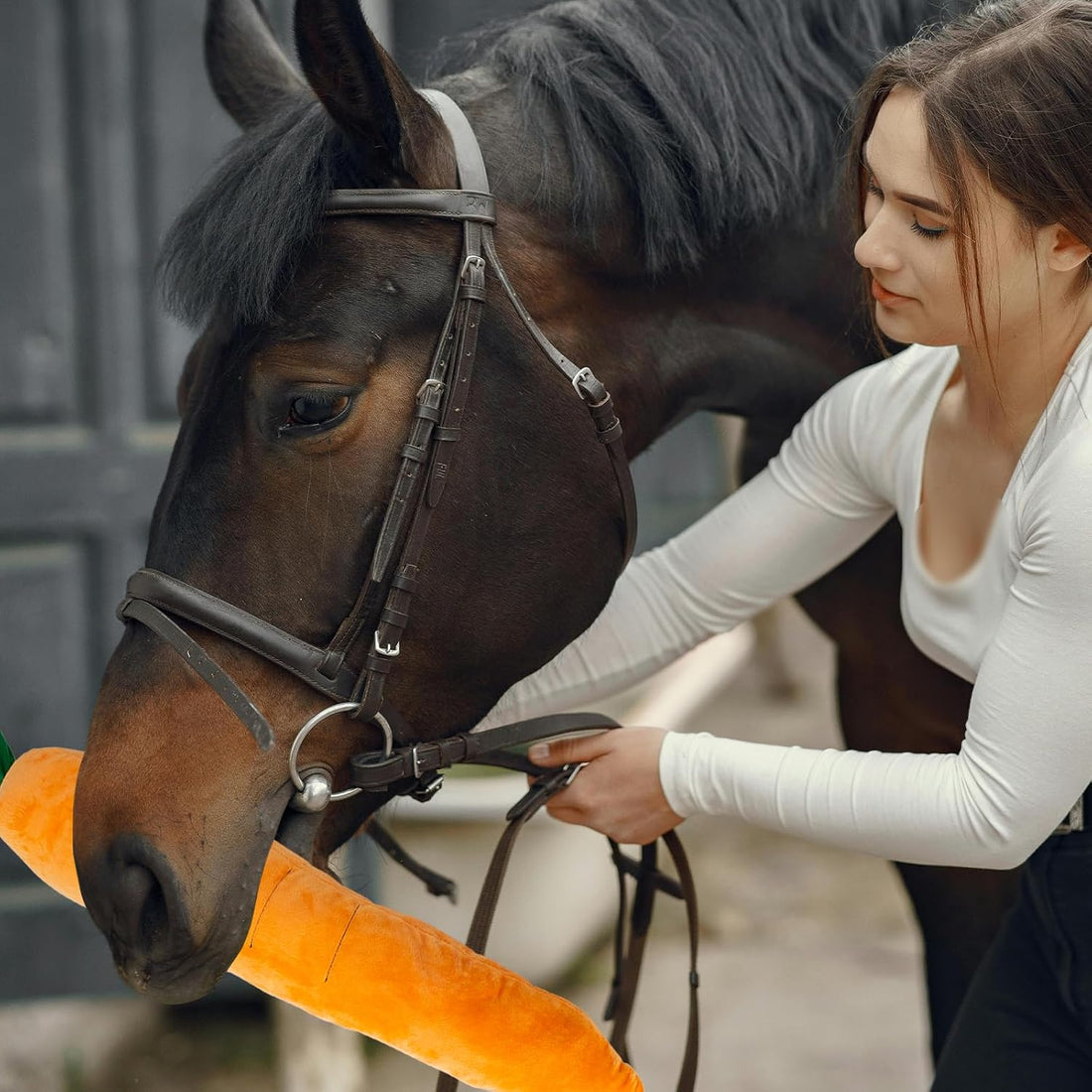 Horse Toy Plush Squeaky Carrot, Large Carrot Shaped Horse Squeaky Toy