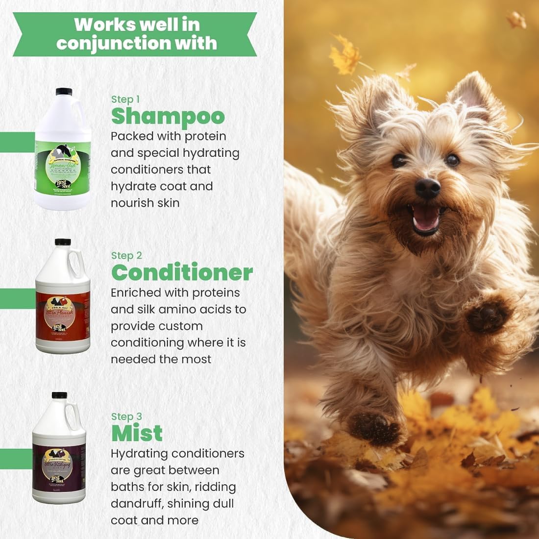Best Shot Lemon-Aid Oatmeal Wash, Pet Shampoo for Dogs, Cats