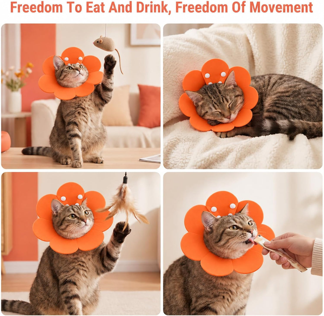 3 Pack Felt Cat Cone Collar Soft Cone for Cats Dogs Kitten Puppy