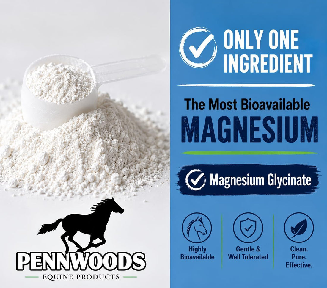 Pennwoods Horse Calming Magnesium Glycinate Powder, Easy Keepers, 5 lb