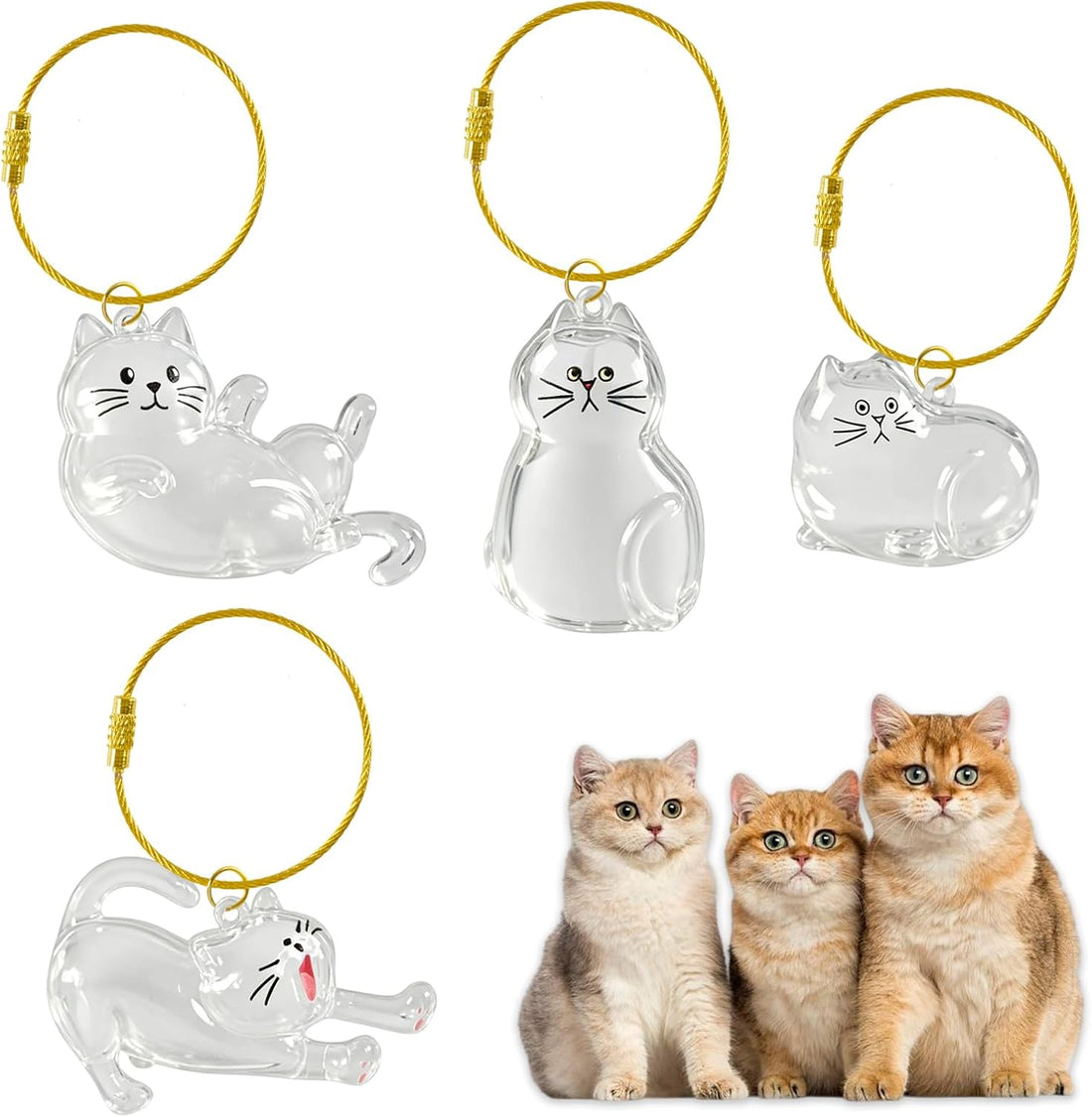 4 Pcs Cat Hair Keepsake Bottles, Pet Hair Memorial Keychain