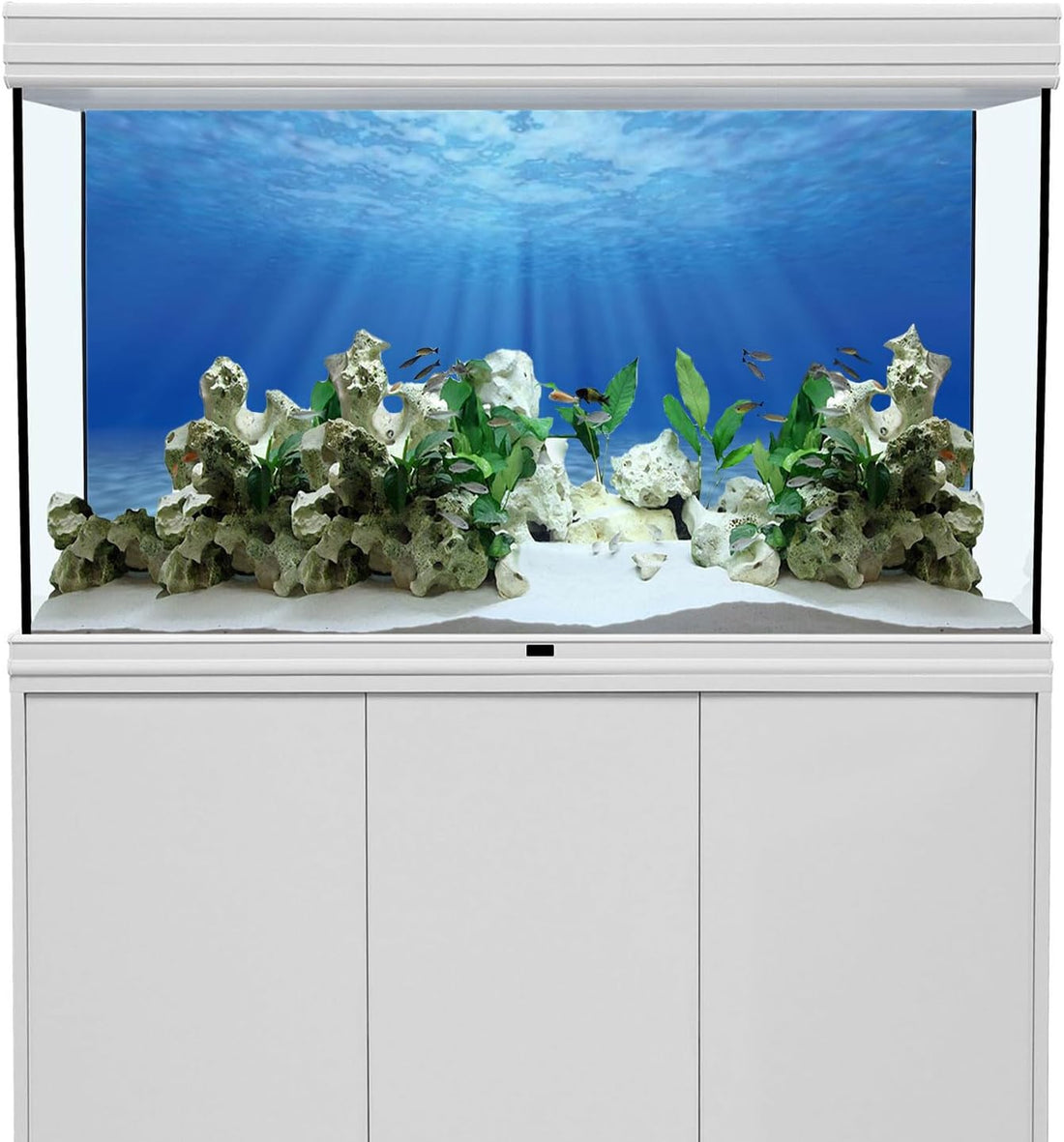 AWERT Undersea Aquarium Backdrop Sunshine Fish Tank Background 24x12