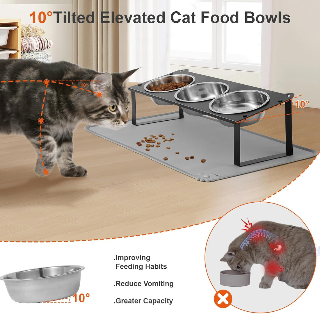 Elevated Cat Bowls with Food Mat