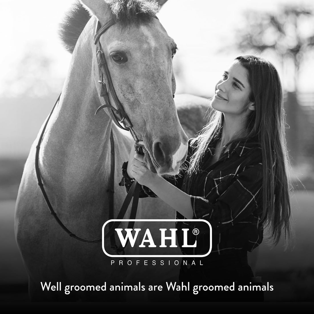 Wahl Professional Animal Mane & Tail Brush, 858708, Black