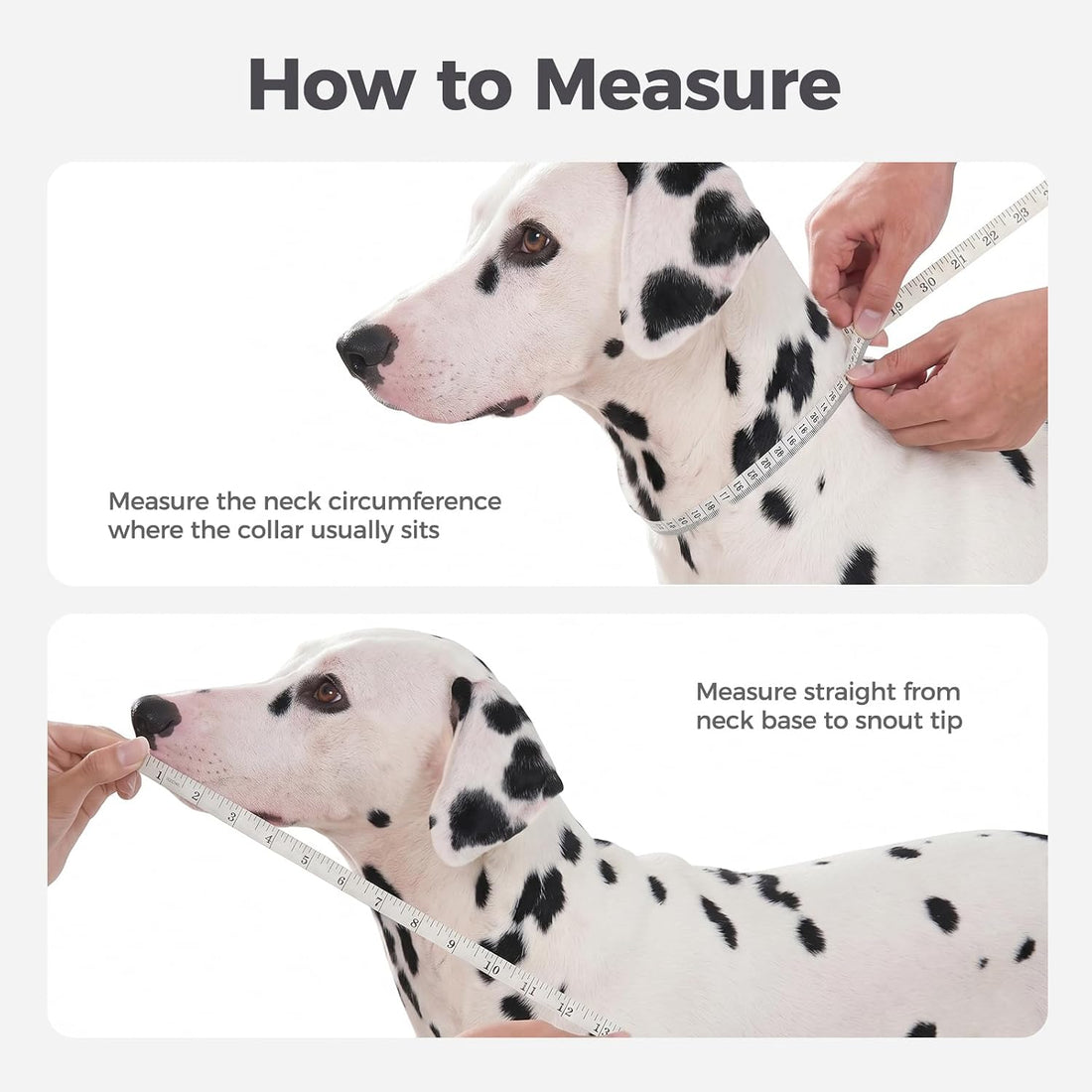 Avont Breathable Dog Cone Collar to Stop Licking