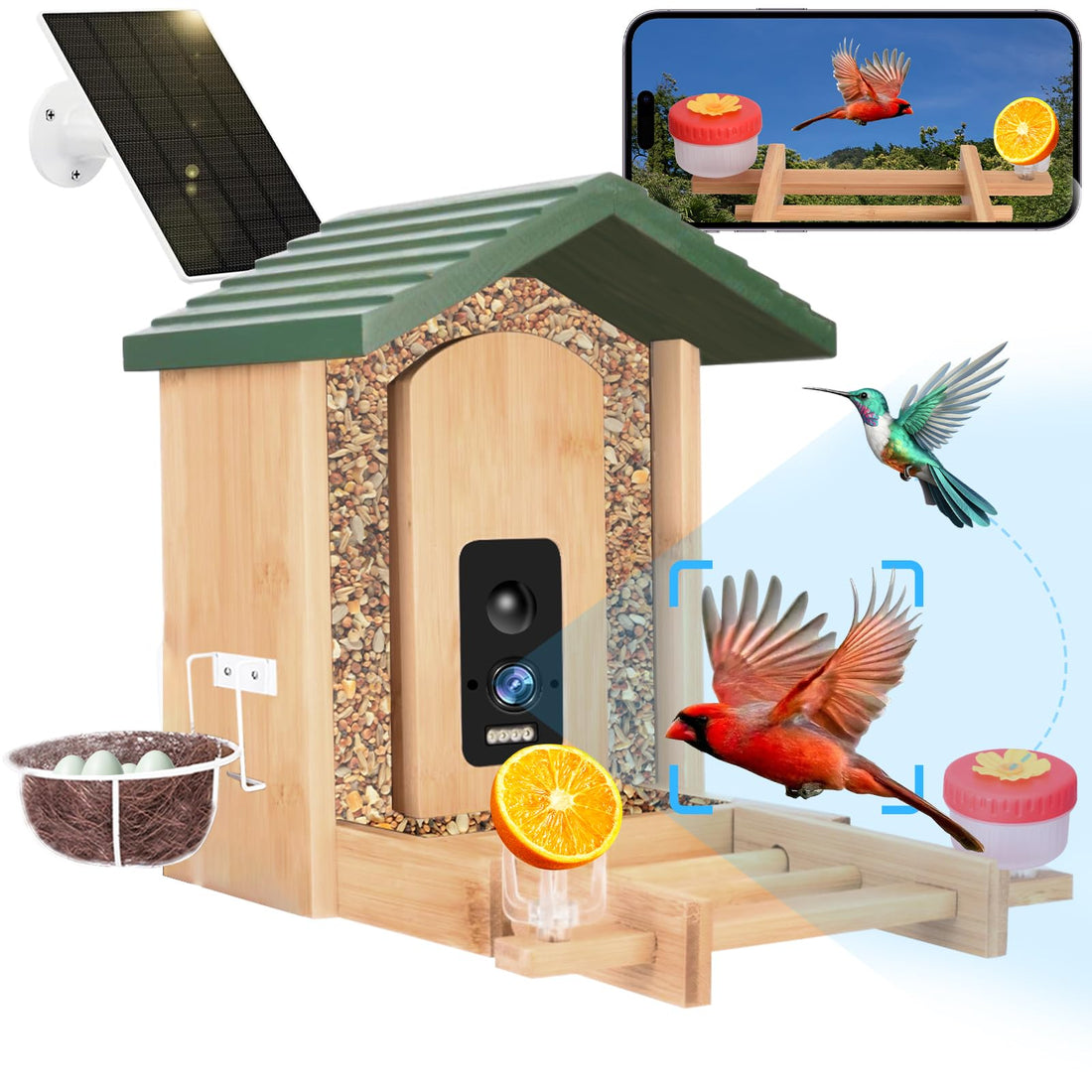 Smart Bird Feeder with Camera Solar Powered