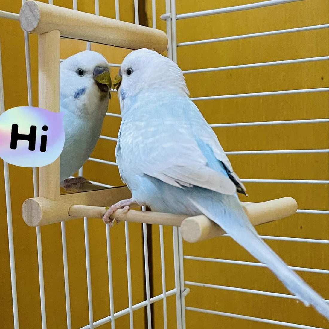 Hamiledyi Bird Mirror Parakeet Mirror Perch Stand Wooden Swing Mirror
