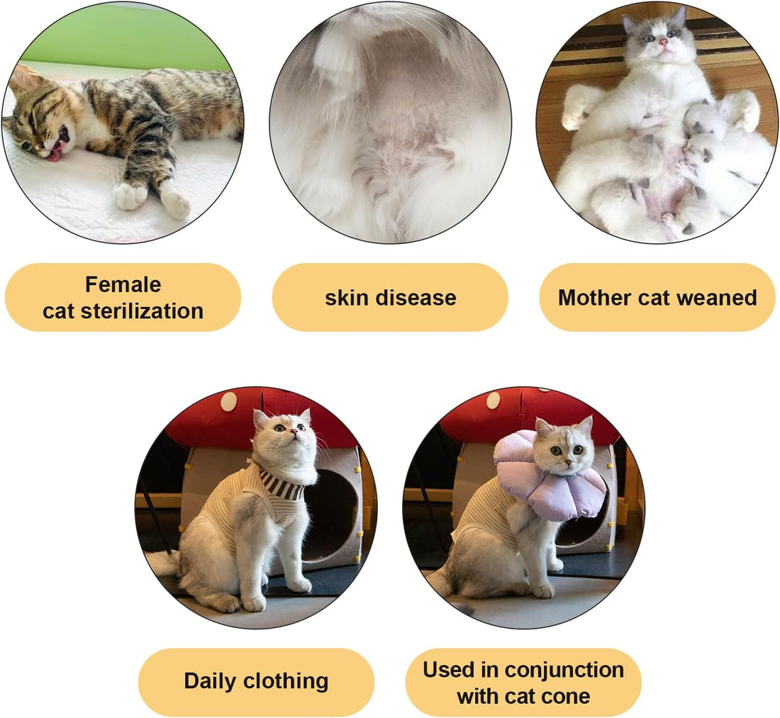 H HIDREAM Cat Clothes for Cats Only Female, Onesie for Women Spaying