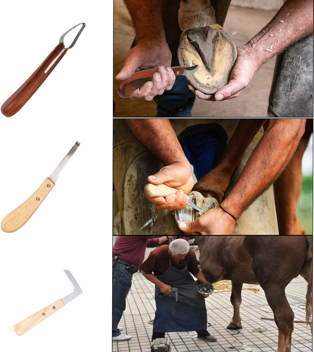 64 Pcs Farrier Tools Kit
