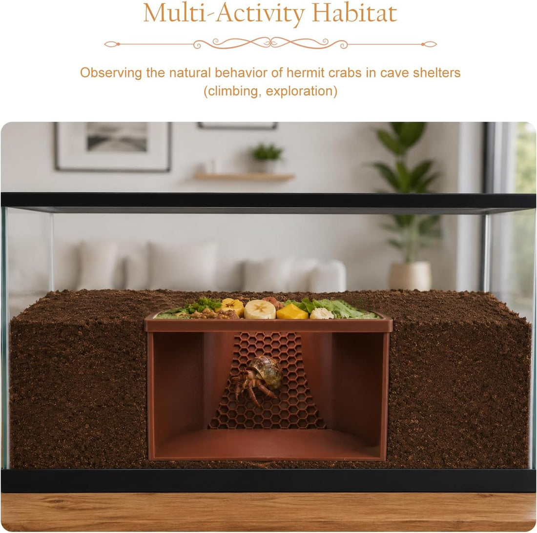 Hermit Crab Climbing Toy, Reptile Habitat Decor Exercise Playground