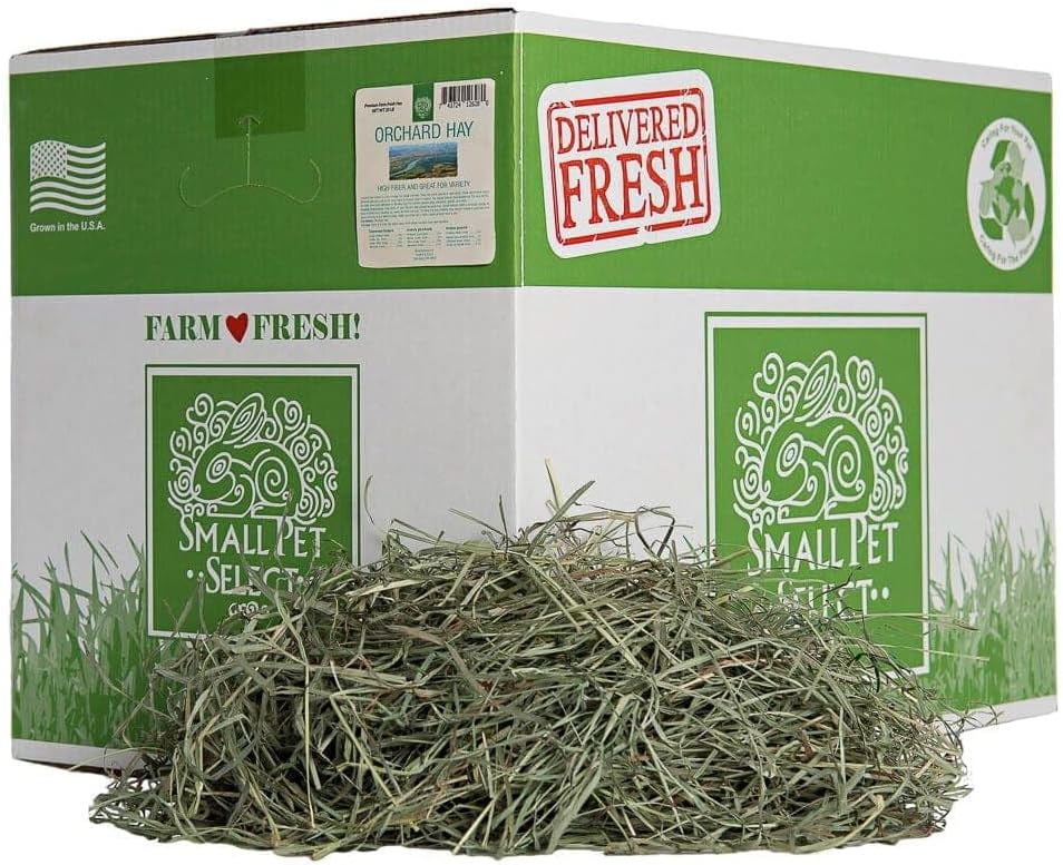 Small Pet Select Orchard Grass Hay Pet Food for Rabbits, Guinea Pigs