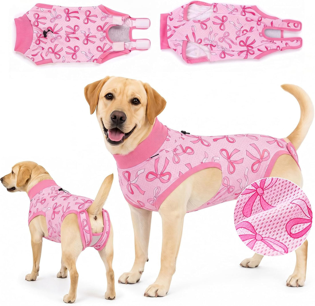 Glittme Dog Surgery Recovery Suit with Breathable Mesh for Female