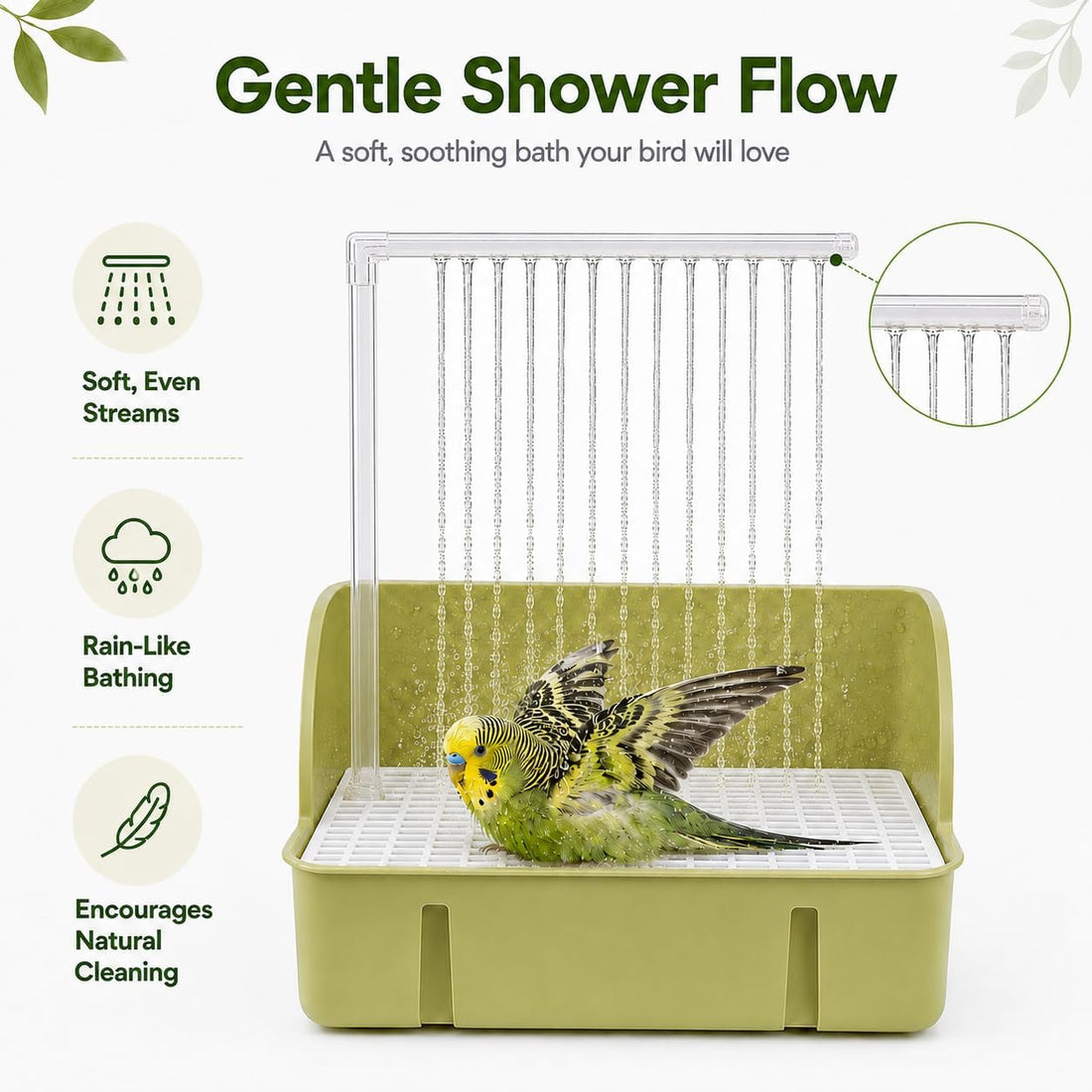 Automatic Bird Bath with Pump