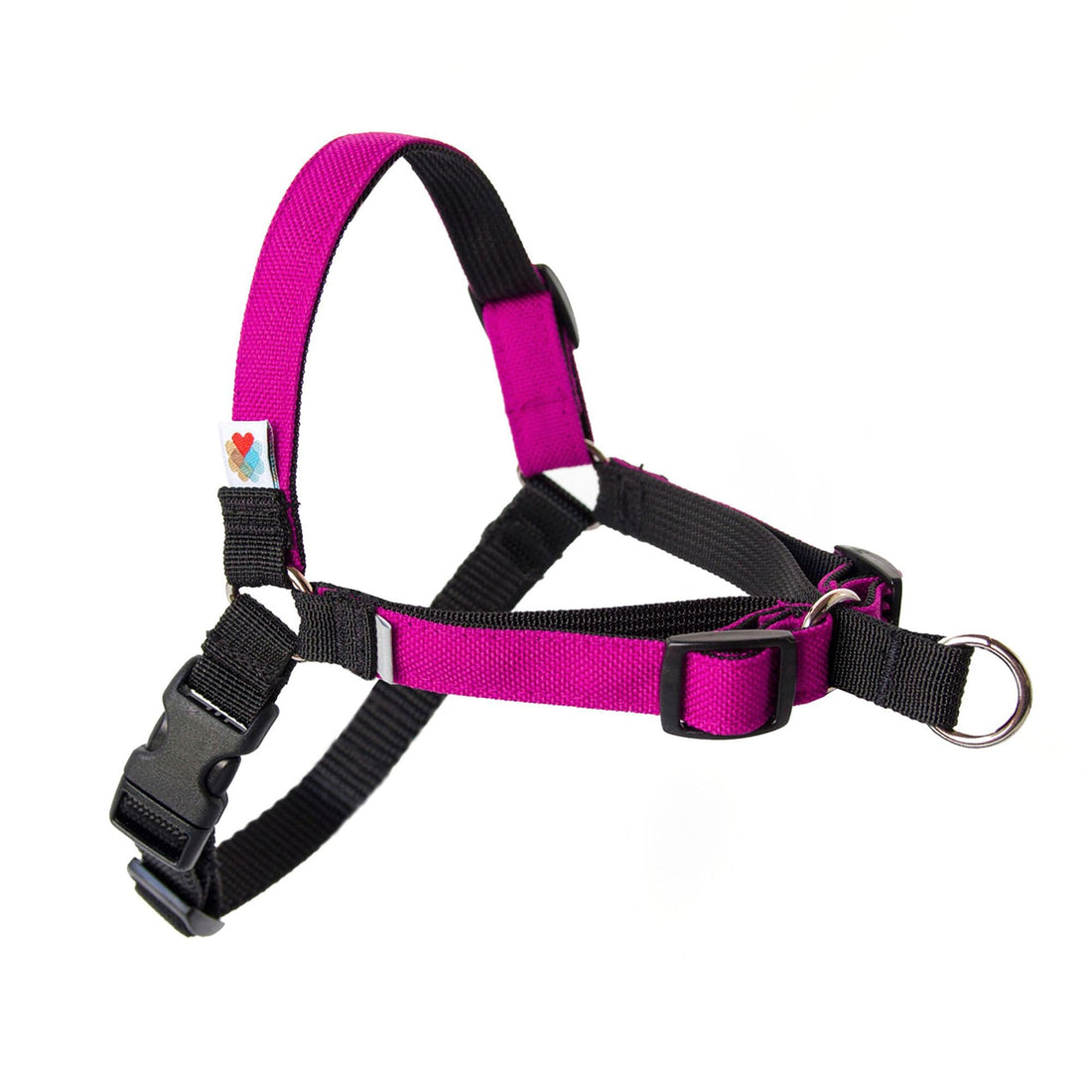 Wildebeest No Pull Dog Harness | Comfortable Training Harnesses