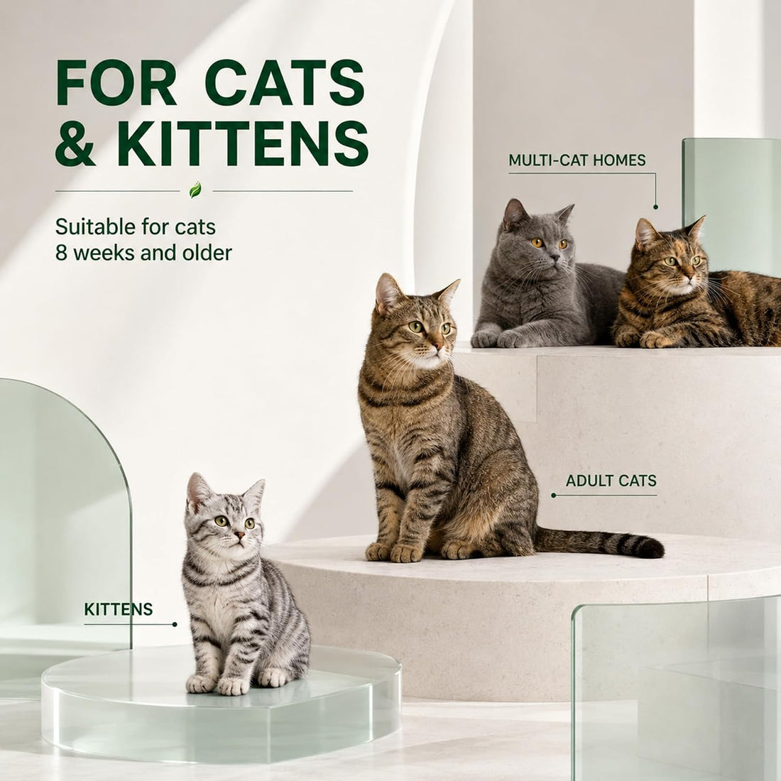 Cat Dewormer for Cats & Kittens
