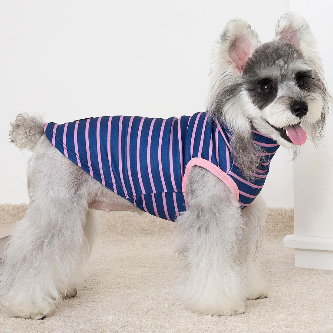 XPUDAC 4 Pack Dog Sweaters Turtleneck Dog Clothes for Small Medium
