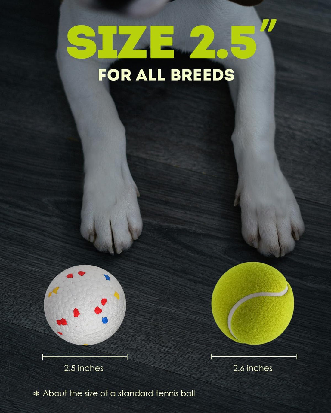 AIRSHOOTER 2.5" Dog Balls for Automatic Dog Ball Launcher