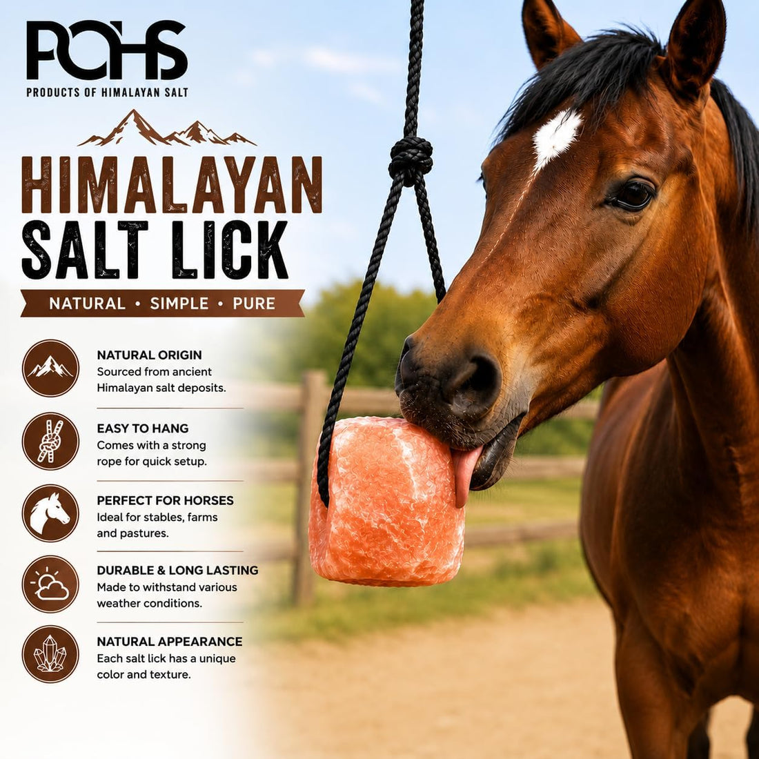 POHS Himalayan Salt Lick on Rope 3 lb Each for Horses & Livestock