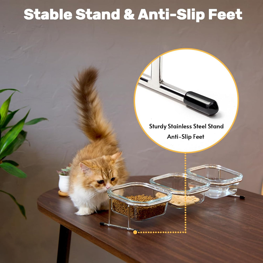 Elevated Cat Bowls, 15° Tilted Glass Raised Cat Food and Water Bowl