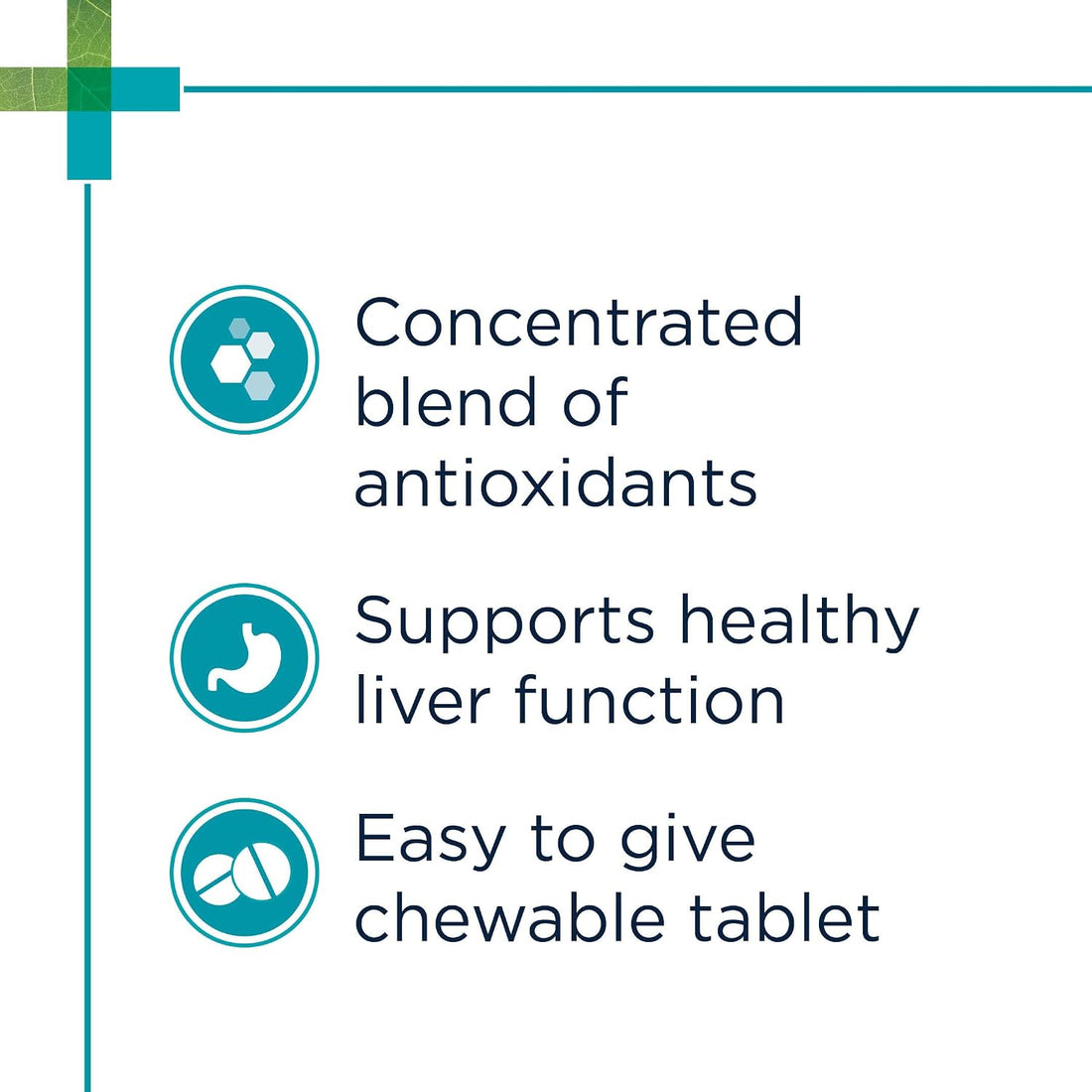 PAW HepatoAdvanced for Large Dogs