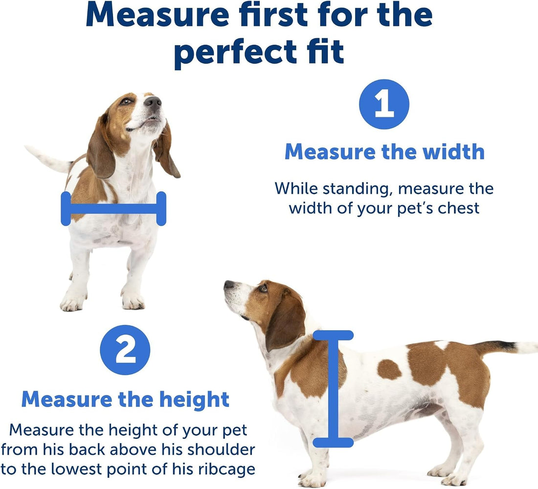 PetSafe Plastic Dog & Cat Door, Pets up to 100 lb