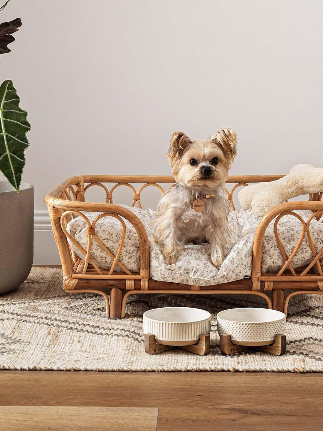 LE TAUCI PET Ceramic Dog and Cat Bowl Set with Acacia Wood Stand