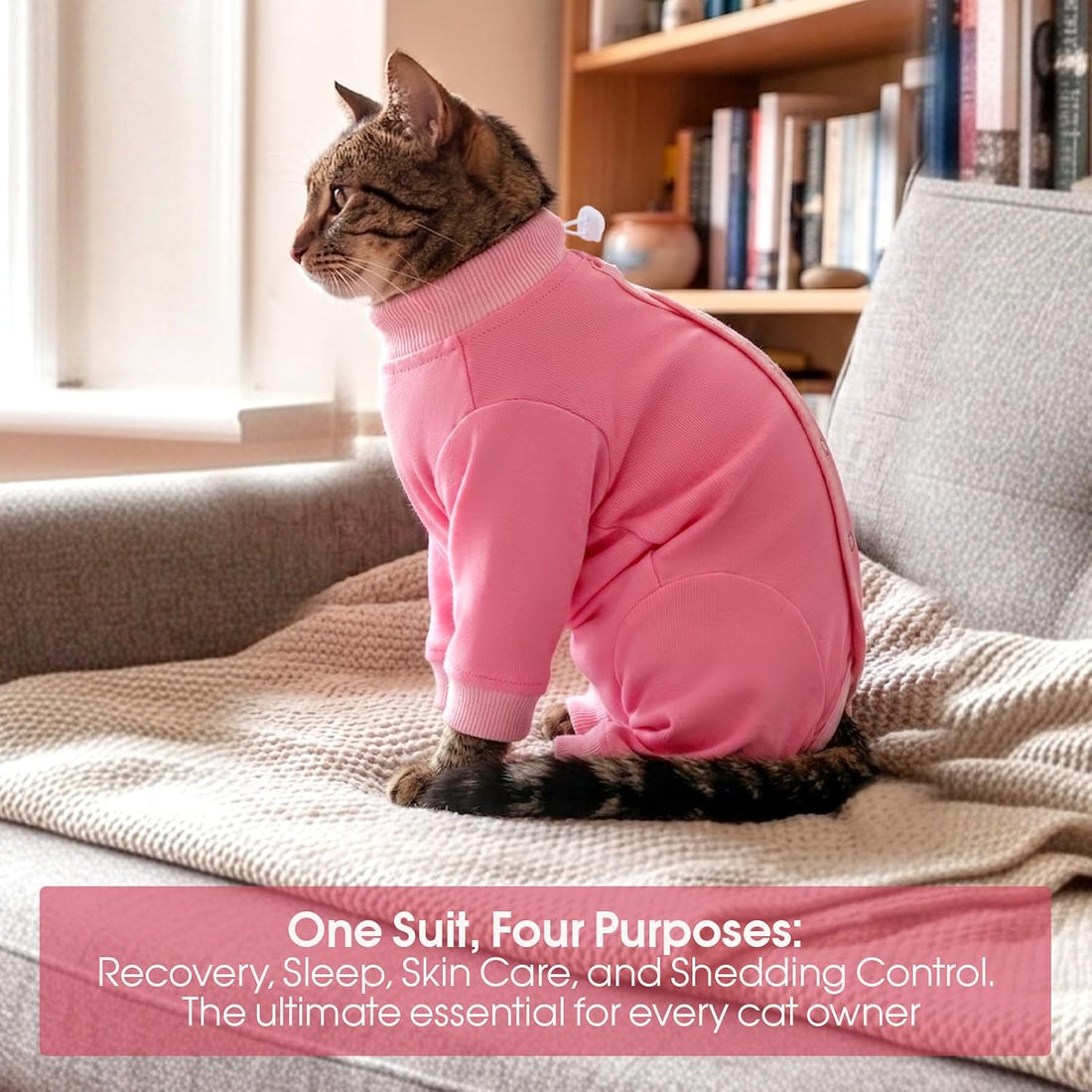 Cat Recovery Suit for Spay & Neuter,Hind Leg Healing Protector