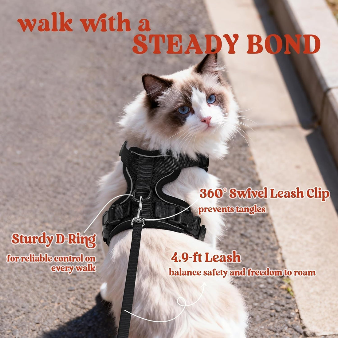 rabbitgoo Cat Harness and Leash Set, Escape Proof Vest