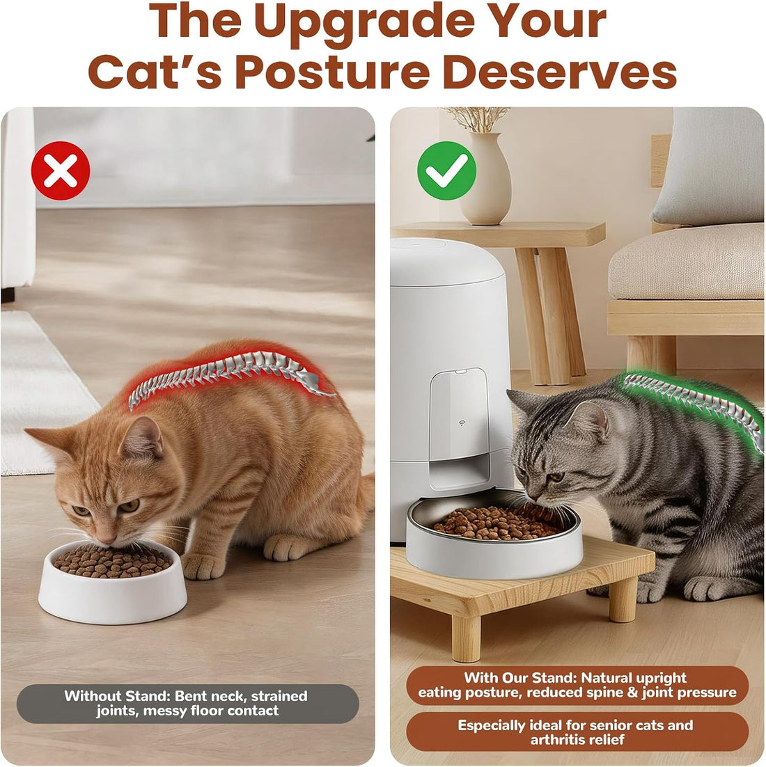 Cat Food Stand, Riser for Automatic Feeder & Water Bowl